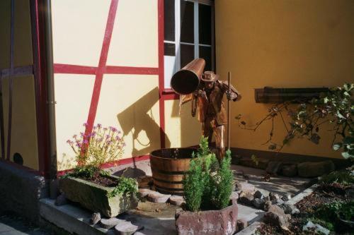 Tiptop Hotel Garni Pfauen Endingen am Kaiserstuhl Ngoại thất bức ảnh