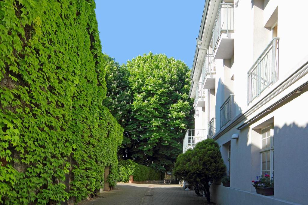 Tiptop Hotel Garni Pfauen Endingen am Kaiserstuhl Ngoại thất bức ảnh