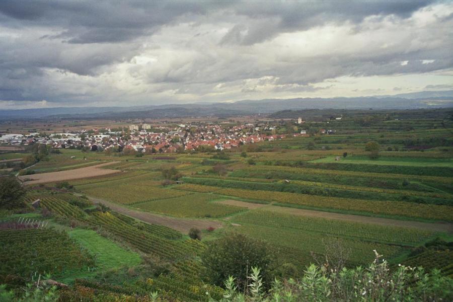 Tiptop Hotel Garni Pfauen Endingen am Kaiserstuhl Ngoại thất bức ảnh